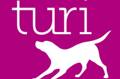 turi-logo