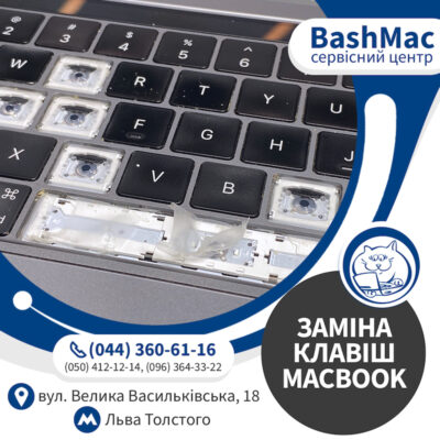 сломались крепления, мембрана кнопки MacBook